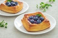 Blueberry danish puff pastry on white plate Royalty Free Stock Photo