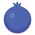 blueberry design illustration