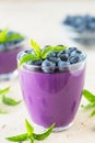 Blueberry dessert in the glass bowl Royalty Free Stock Photo