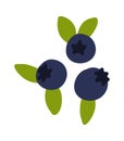 Blueberry. Doodle bilberry. Vector huckleberry food icon