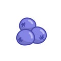 Blueberry doodle icon