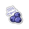 Blueberry doodle icon