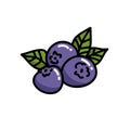 Blueberry doodle icon, vector illustration