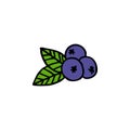 Blueberry doodle icon, vector illustration
