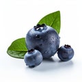 Blueberry Still Life: Realistic, Dramatic Lighting With Water Droplets