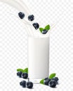 Blueberry falling in a glass of milk or yogurt. Fruit milkshake advertising banner, yogurt jet, white drink in glass cup,