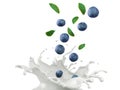 Blueberry Falling with Milk or yogurt Splash, 3d rendering