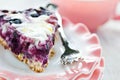 Blueberry Flan Royalty Free Stock Photo