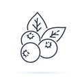 Blueberry flat line icon, forest berry sign, healthy food logo. Illustration of cranberry, lingonberry