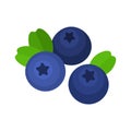 Blueberry flat style vector illustration. Fresh berries on white background.