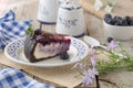 Blueberry flavour cheesecake swirled with blueberry sauce on a biscuit crumb, bakery. Delicious slice of blueberries