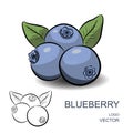 Blueberry