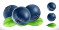 Blueberry. Fresh fruit 3d vector icon