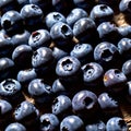 Blueberry fresh raw organic fruit