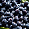Blueberry fresh raw organic fruit