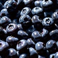 Blueberry fresh raw organic fruit