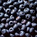 Blueberry fresh raw organic fruit