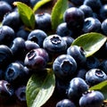 Blueberry fresh raw organic fruit