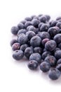 Blueberry Royalty Free Stock Photo