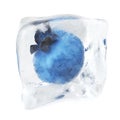Blueberry frozen in ice cube, ice cube in front view, single ice cube isolated on white background. 3d rendering