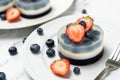 Blueberry fruit agar agar or jelly dessert
