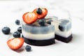 Blueberry fruit agar agar or jelly dessert