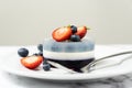 Blueberry fruit agar agar or jelly dessert