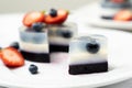 Blueberry fruit agar agar or jelly dessert