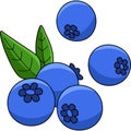 Blueberry Fruit Cartoon Colored Clipart