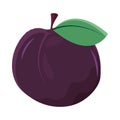 blueberry fruit icon