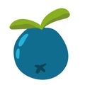 blueberry fruit icon