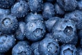 Blueberry fruit macro with dew drops background.