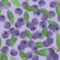 Blueberry fruit seamless raster pattern design illustration