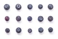 Blueberry fruits formation