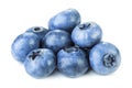 Blueberry fruits isolated