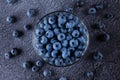 Blueberry in glass plate top view. Blueberries organic natural berry with water drops on dark background
