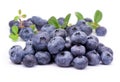 Blueberry with green leaves Royalty Free Stock Photo