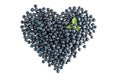 Blueberry heart shape Royalty Free Stock Photo