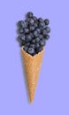 Blueberry ice cream cone with fresh fruits Royalty Free Stock Photo