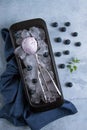 Blueberry ice cream, container with a spoon, on a gray table, fresh blueberries, Royalty Free Stock Photo