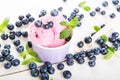 Blueberry ice cream or frozen yogurt and sprig of mint, with fre