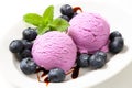 Blueberry ice cream and fruit Royalty Free Stock Photo