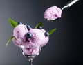 Blueberry ice cream with mint and berries Royalty Free Stock Photo