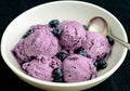 blueberry ice cream sundae Royalty Free Stock Photo