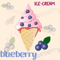 Blueberry icecream on the white background