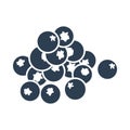 Blueberry Icon