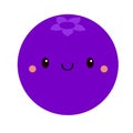 Blueberry icon. Funny smiling expression face with eyes, mouth, cheeks. Cute cartoon kawaii baby character. Childish style.