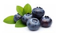 Blueberry isolated. Blueberry on white background. Bilberry. Clipping path. generative ai Royalty Free Stock Photo