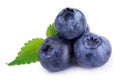 Blueberry Royalty Free Stock Photo