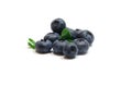 Blueberry Royalty Free Stock Photo